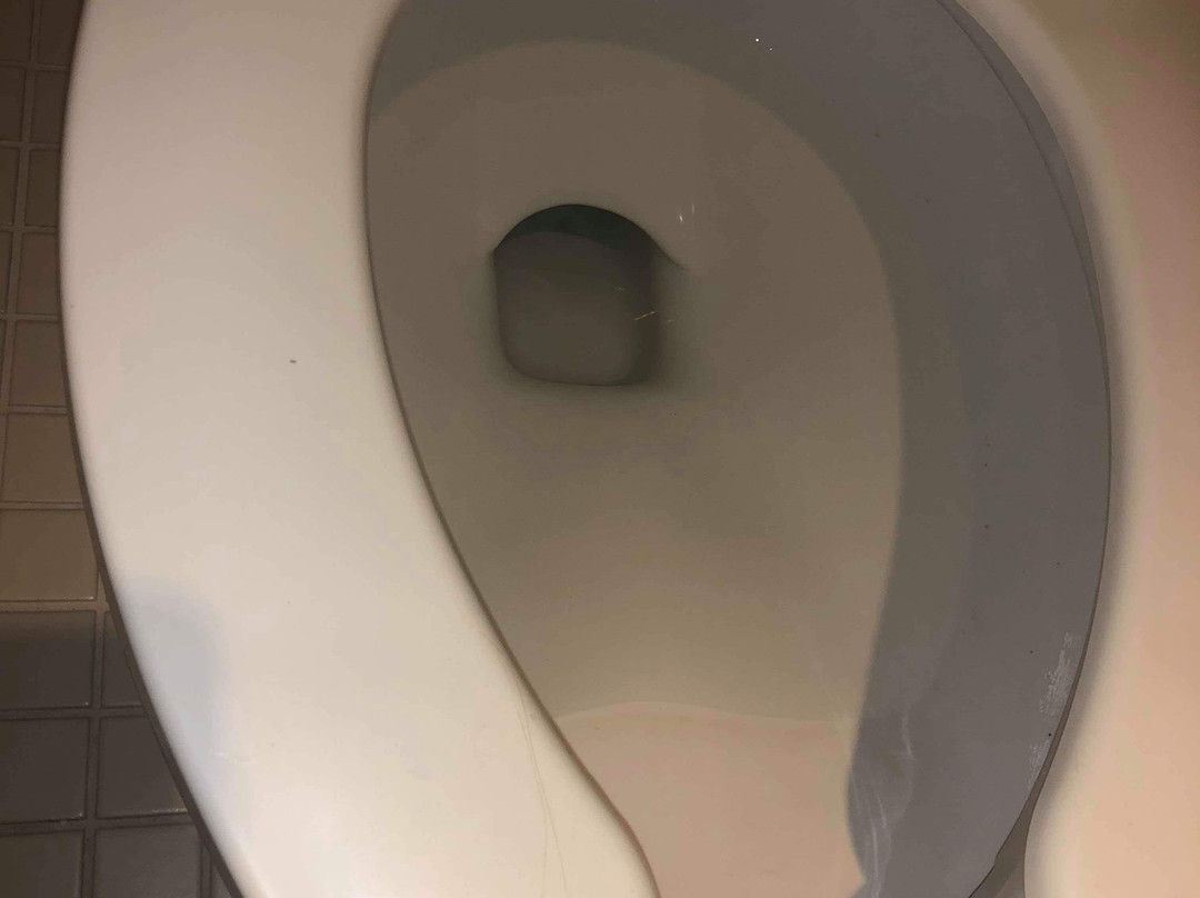 Baymont by Wyndham Springfield主图