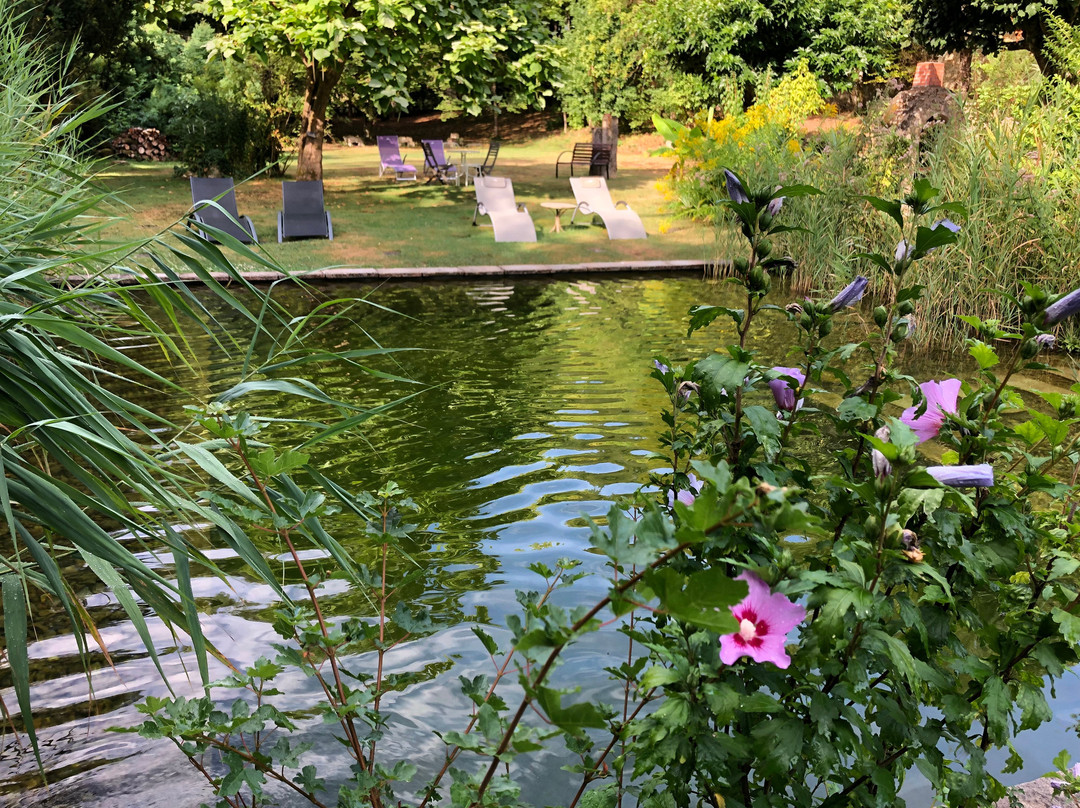 Jardin de CANAAN主图