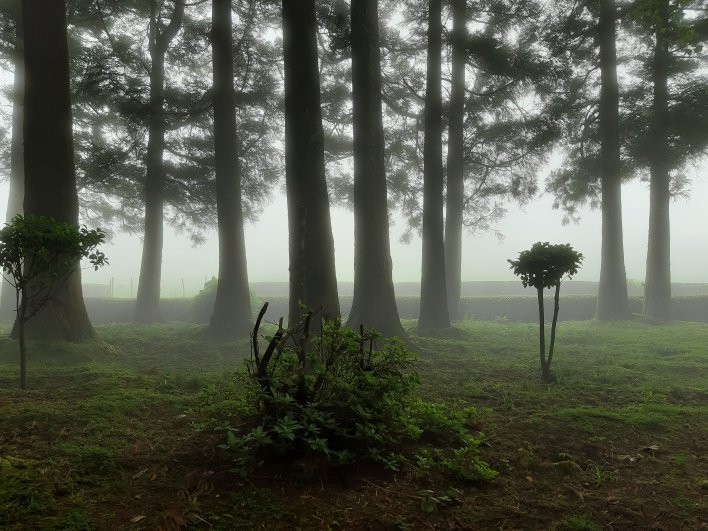 Parque Florestal das Sete Fontes-Sao Jorge必去景点
