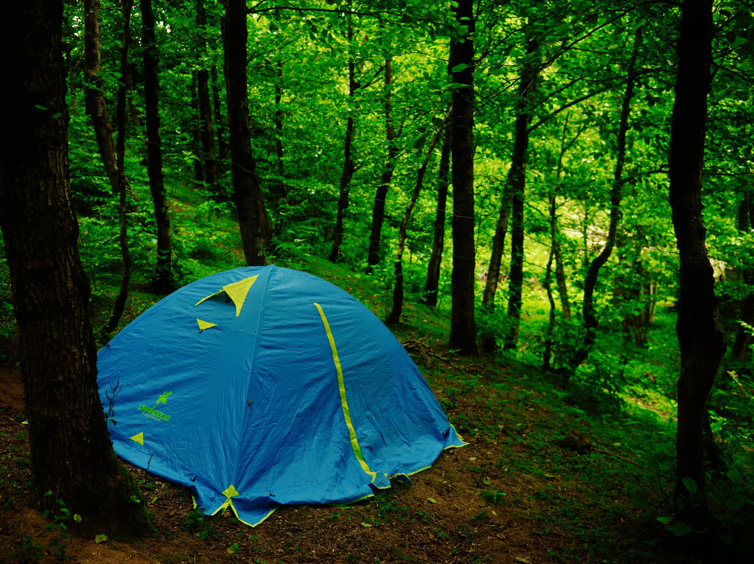 Andro Kartsidze-Pereta必去景点