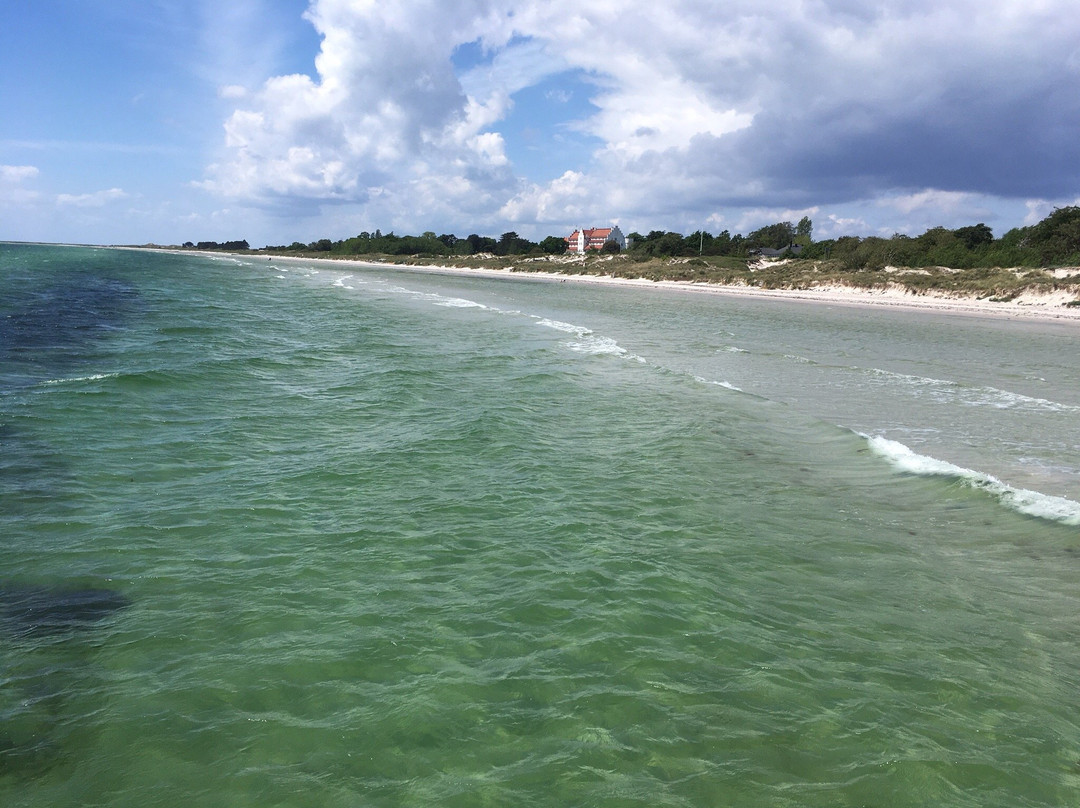 Falsterbo Strand景点图片