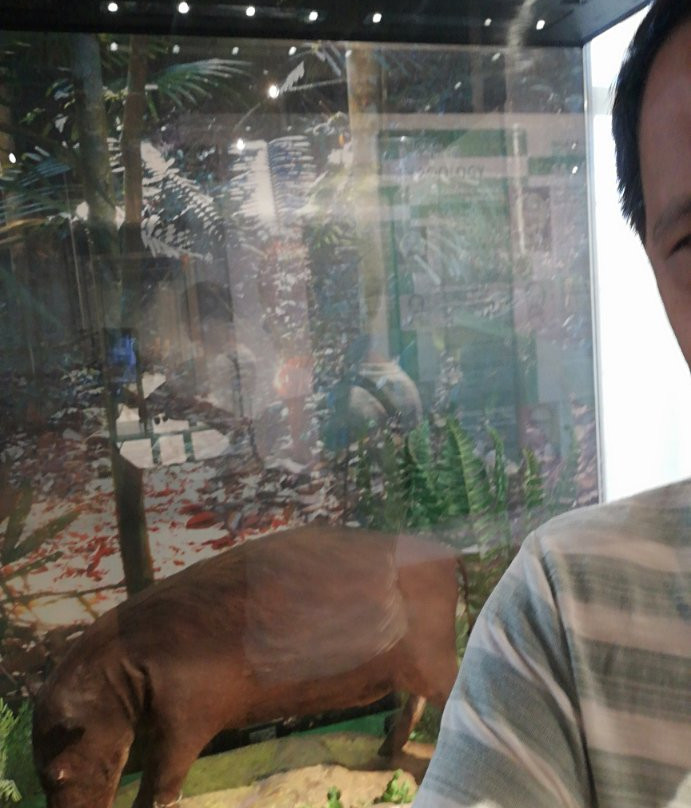 National Museum of the Philippines (Kabayan Branch)-Kabayan必去景点