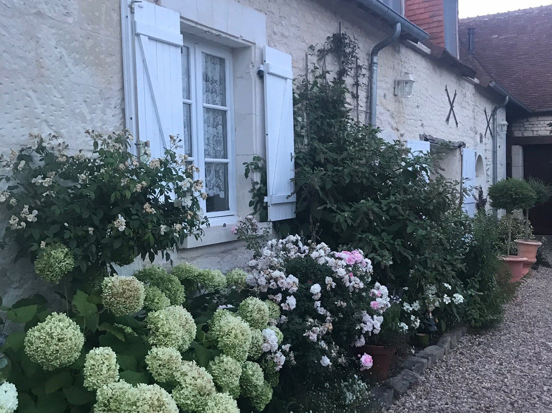 La Ferme Blanche主图