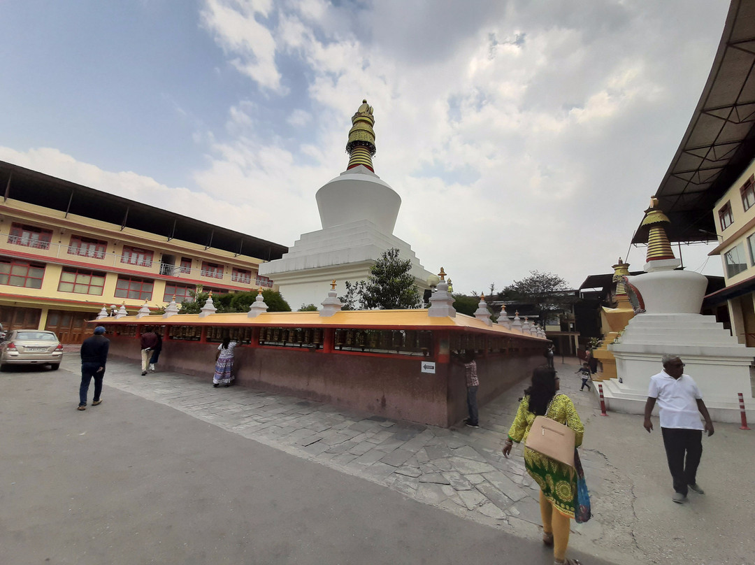 Do Drul Chorten Stupa景点图片