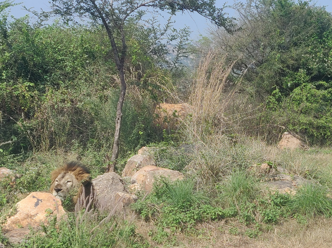 Atal Bihari Vajapayee Zoological Park景点图片