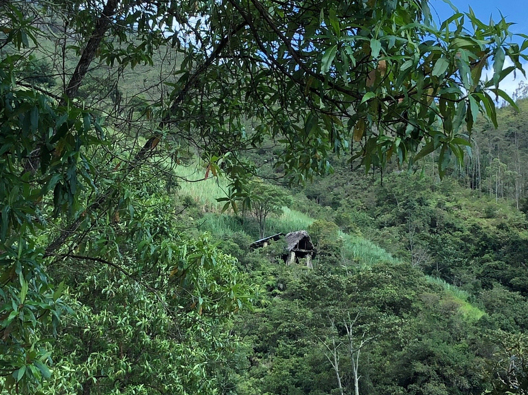 Catarata de Gocta景点图片