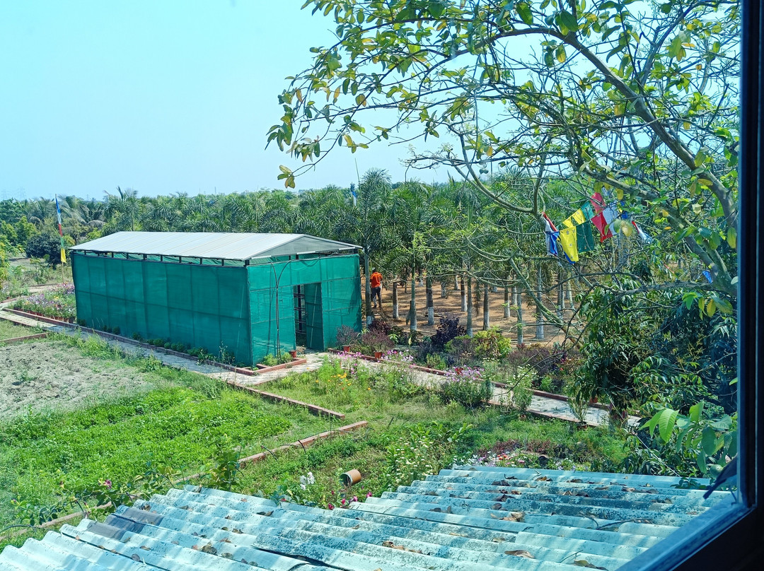 Greenic Farms景点图片