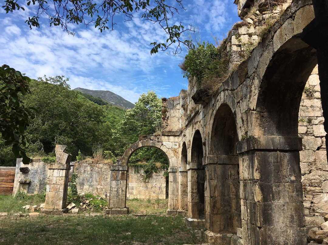 Monasterio de San Pedro de Montes景点图片