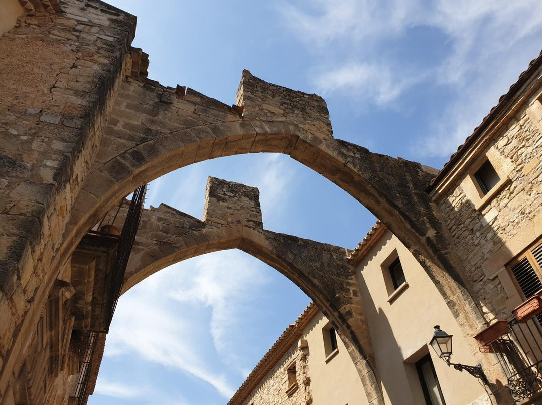 Monestir de Santa Maria de Vallbona景点图片