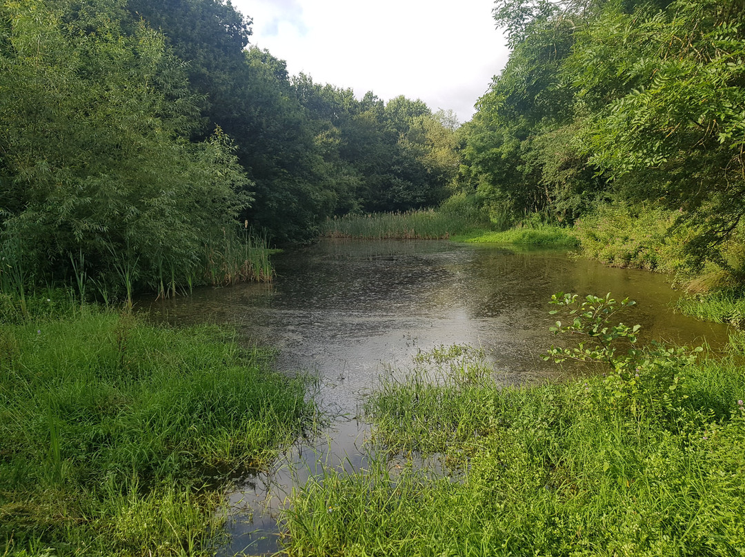 Red River Local Nature Reserve-Heanor必去景点