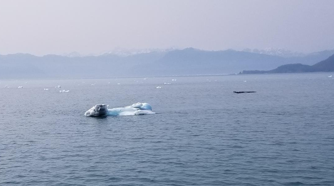 Alaska Ferry-惠提尔必去景点