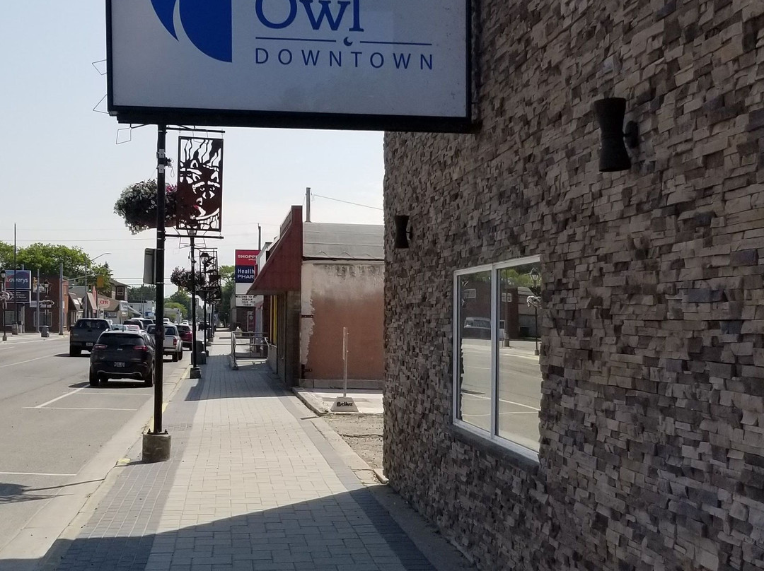 The Sleepy Owl主图