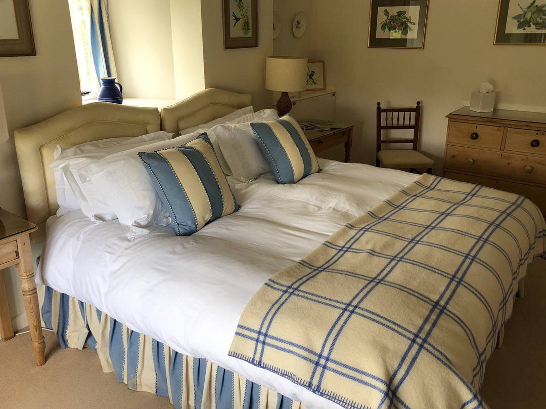 Wren House Bed & Breakfast主图