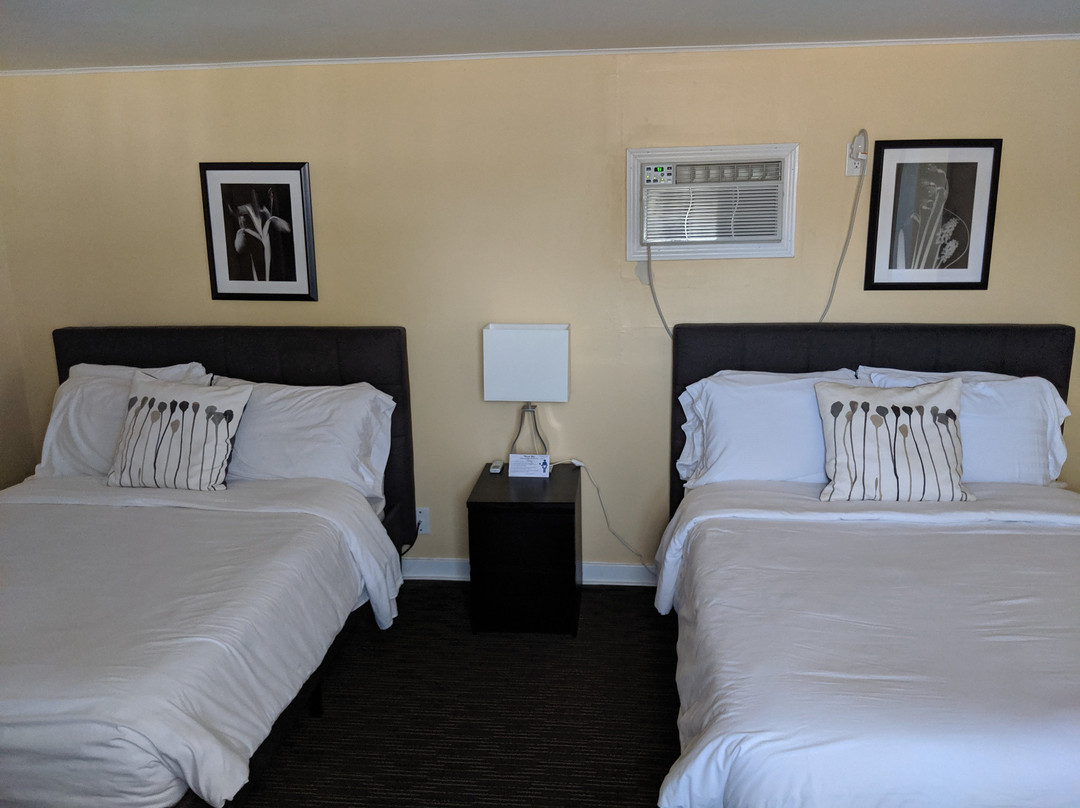 The Clarence Inn主图