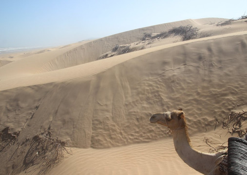 Ecotourisme et Randonnées-索维拉必去景点