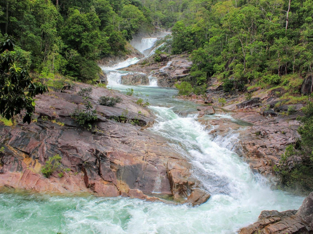 Chozen Travelz-凯恩斯必去景点