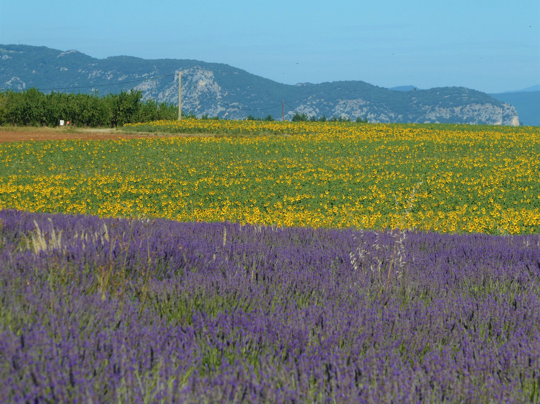 Hotel Restaurant La Fontaine主图