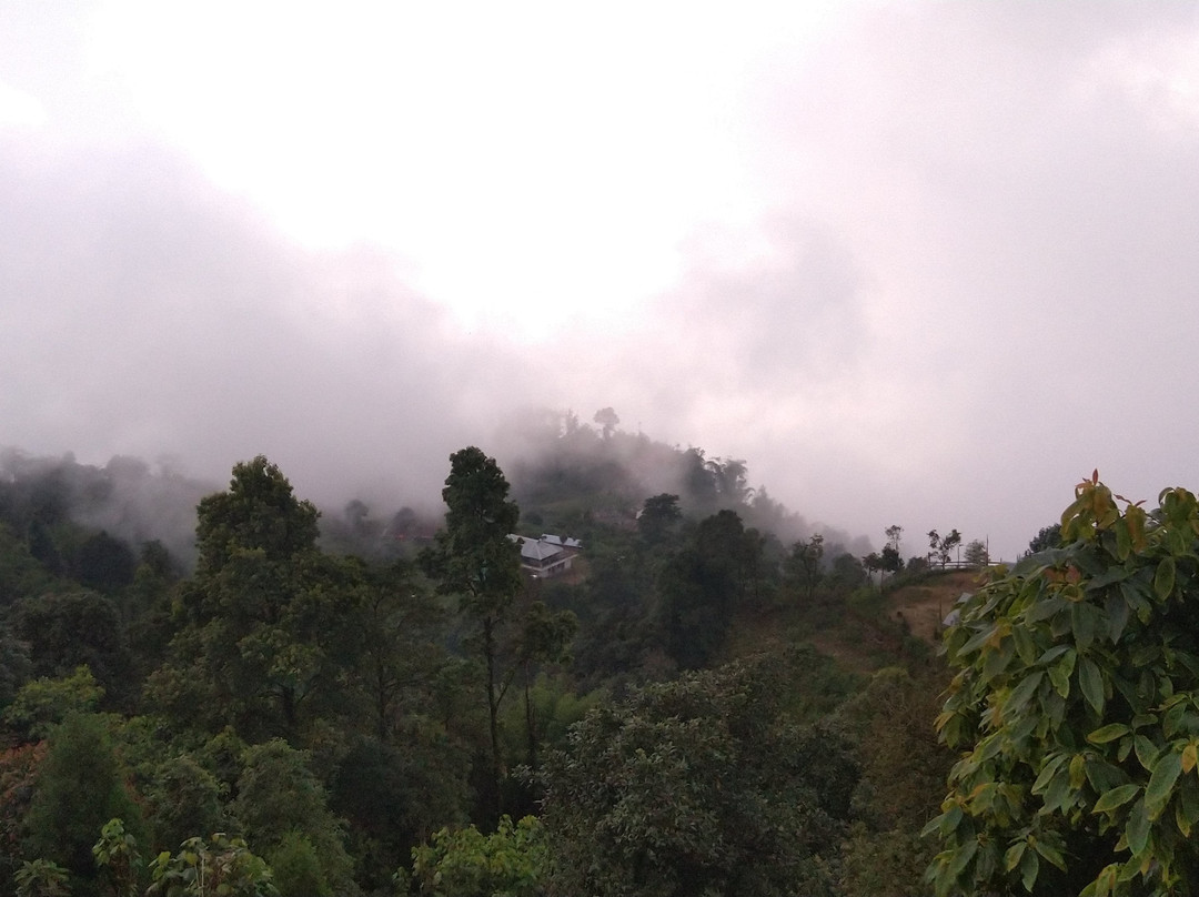 Jhandi Eco Heights主图