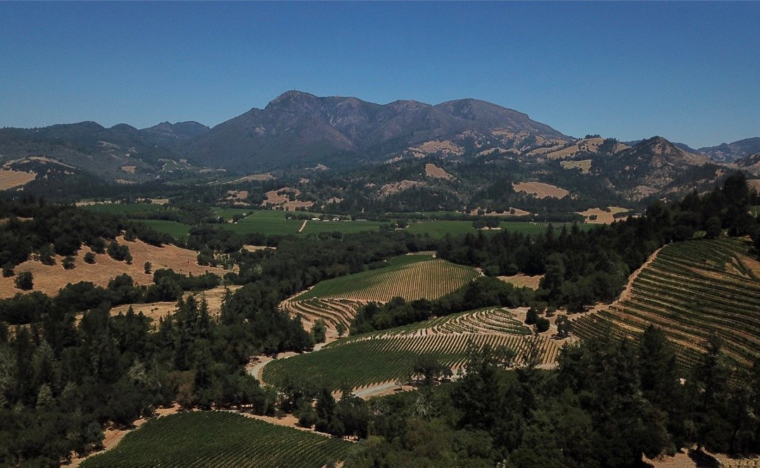 Reserve Wine Tours - Private Tours-纳帕必去景点