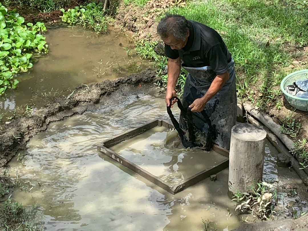 Oshima Tsumugi Museum-奄美市必去景点