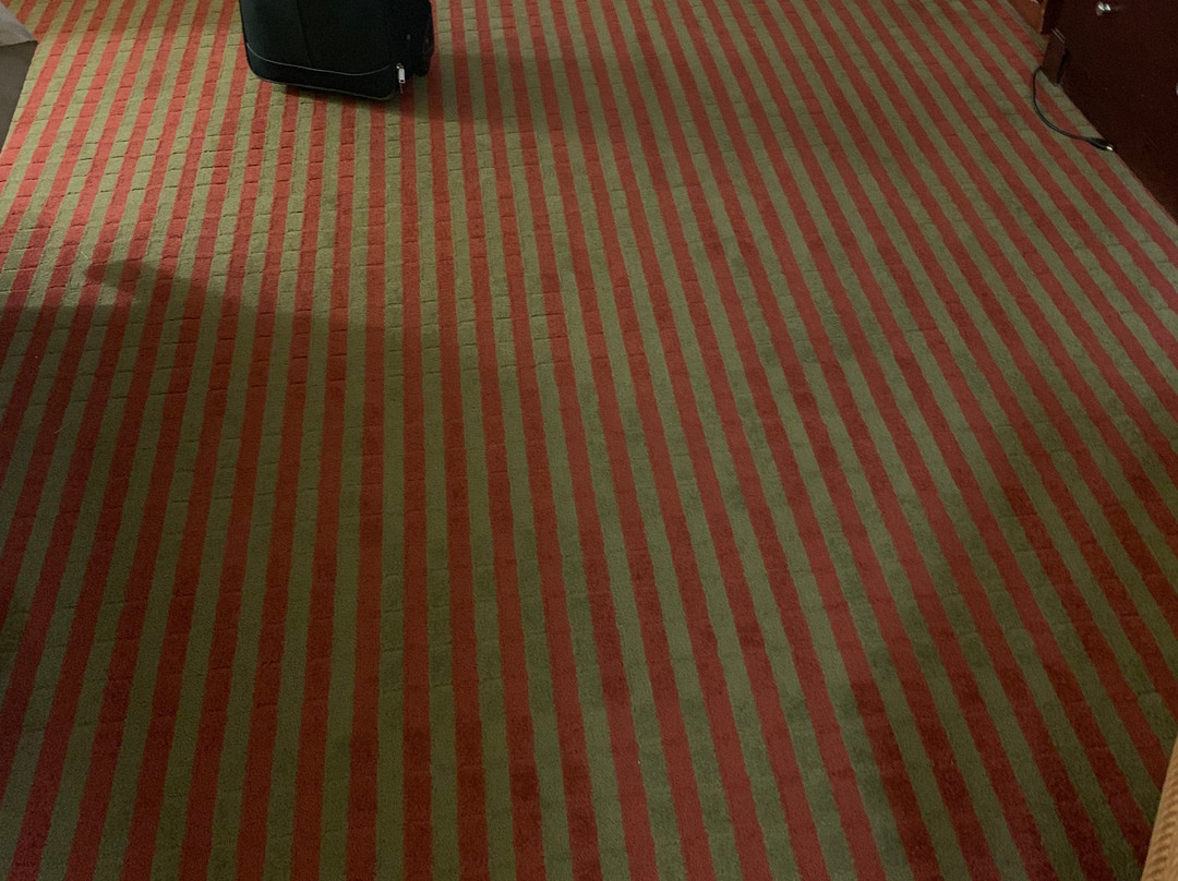 Quality Inn & Suites主图