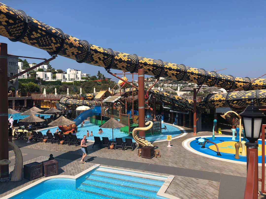 Pirates Inn Cactus Aquapark景点图片