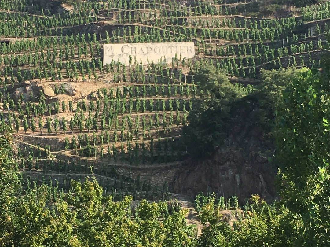 Hotel Le Domaine des Vignes主图
