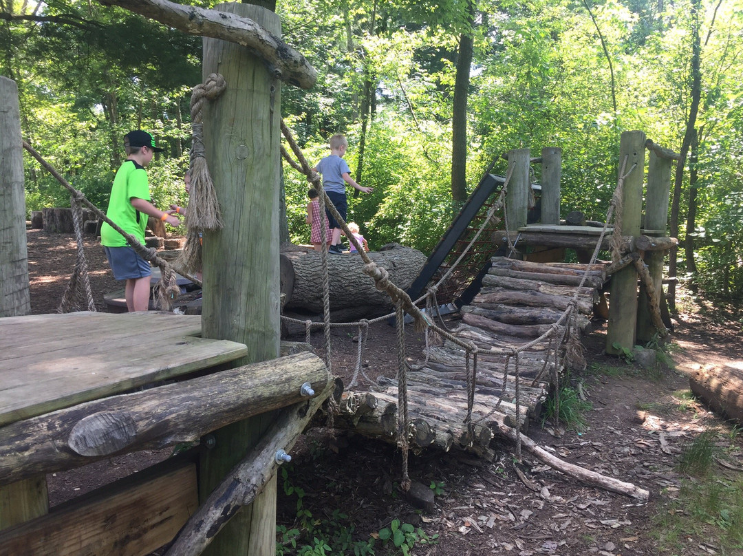 Beech Creek Botanical Garden & Nature Preserve-Alliance必去景点