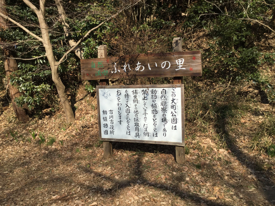 Omachi Park-市川市必去景点
