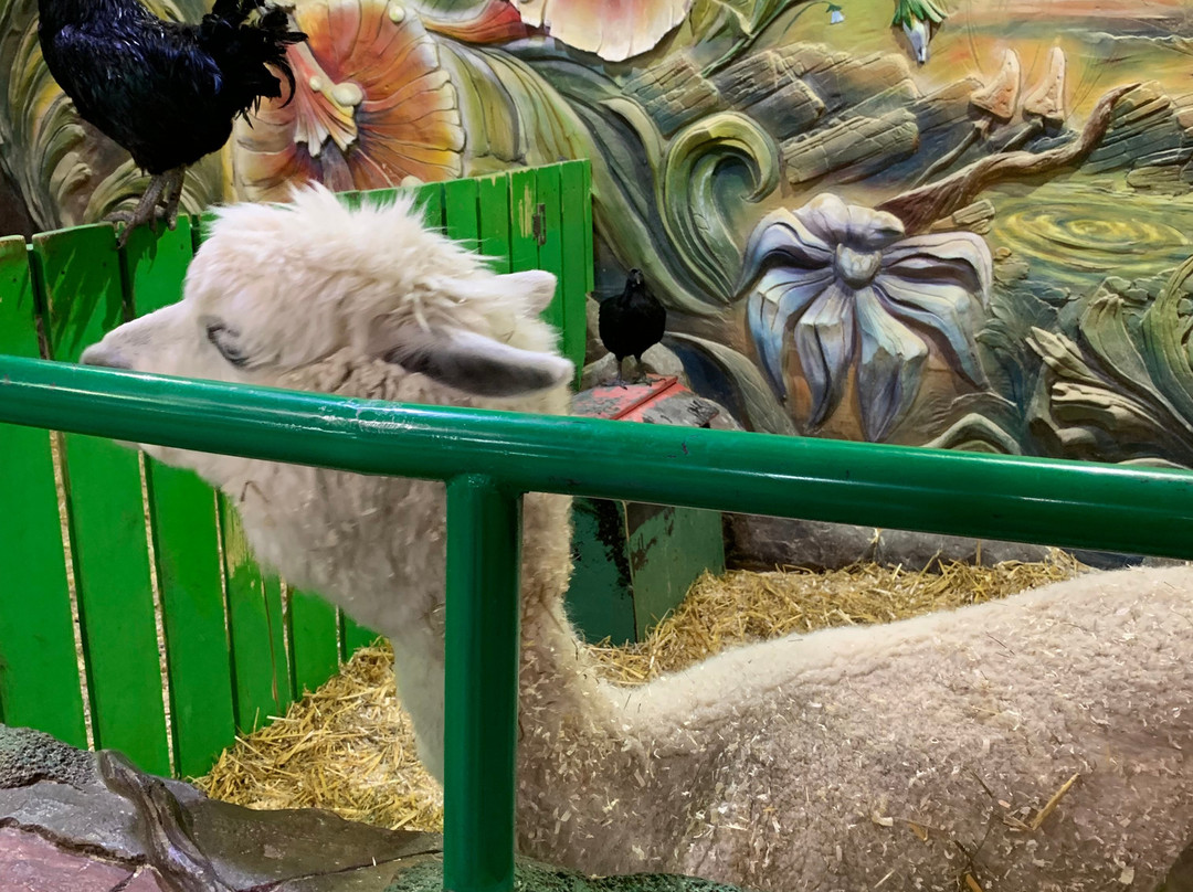 Touching Zoo Bely Kenguru景点图片