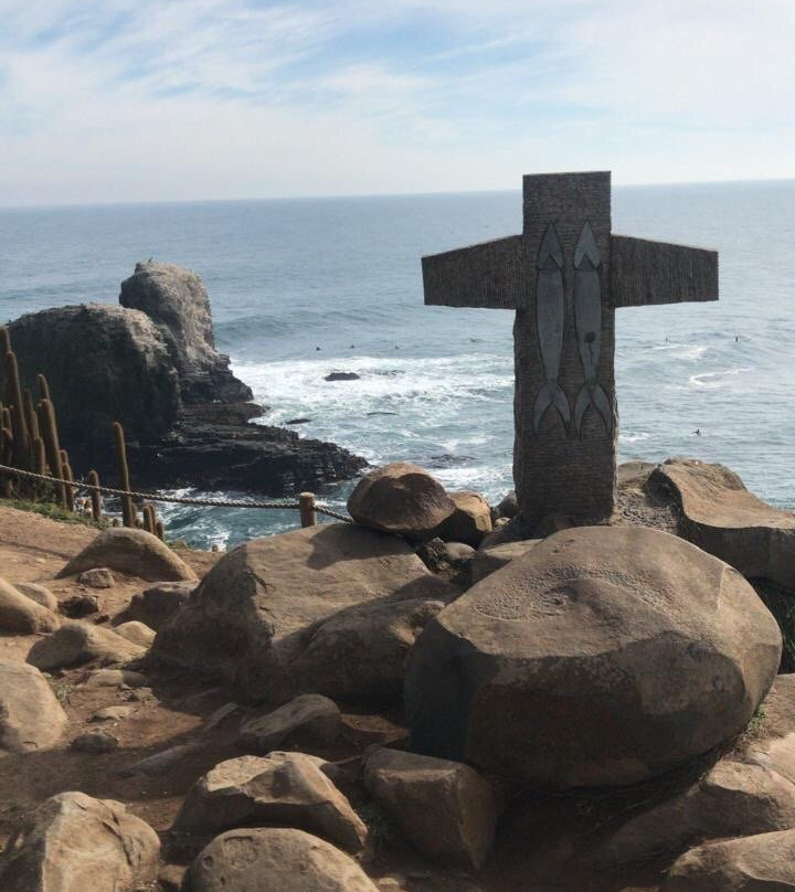 Playa Punta de Lobos景点图片