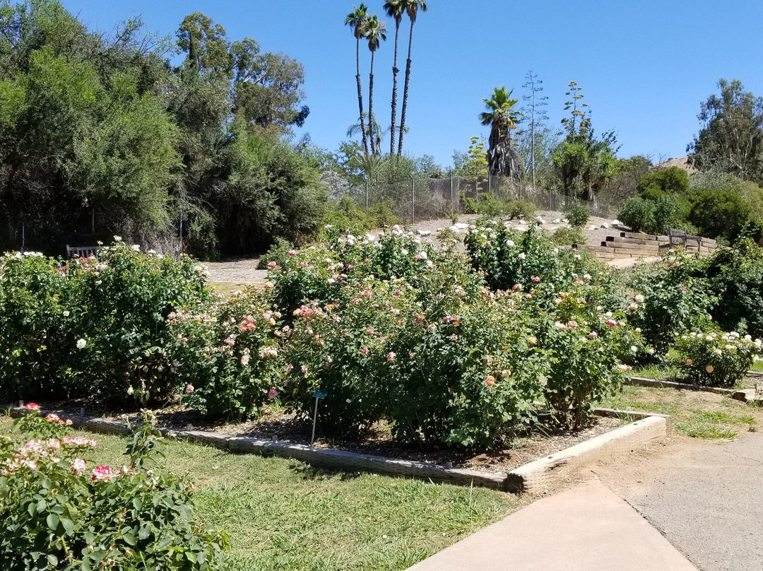 University of California Riverside Botanic Gardens景点图片