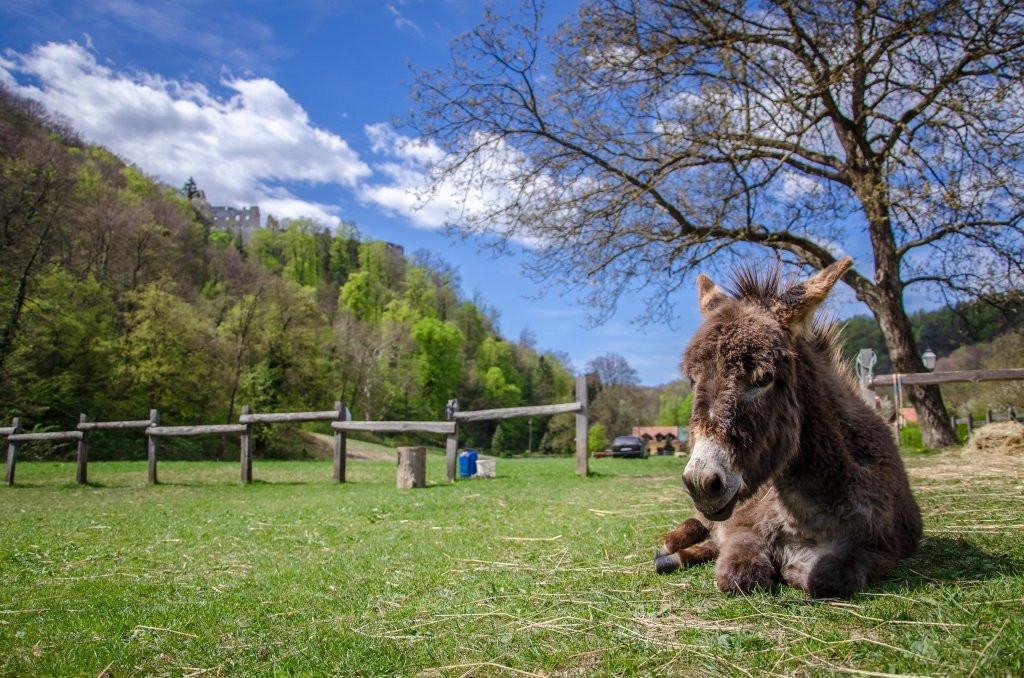 Natrure Park Zumberak-Samoborsko Gorje-Poljanica Bistranska必去景点
