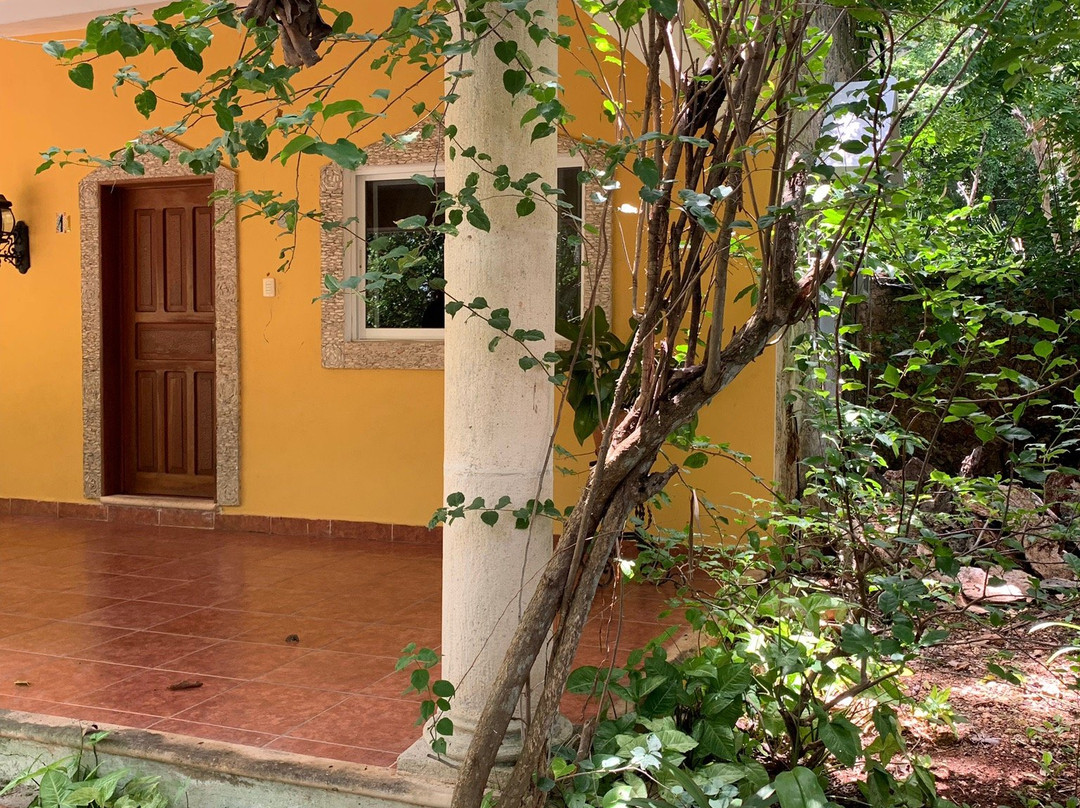 Hotel Itzamaltun主图