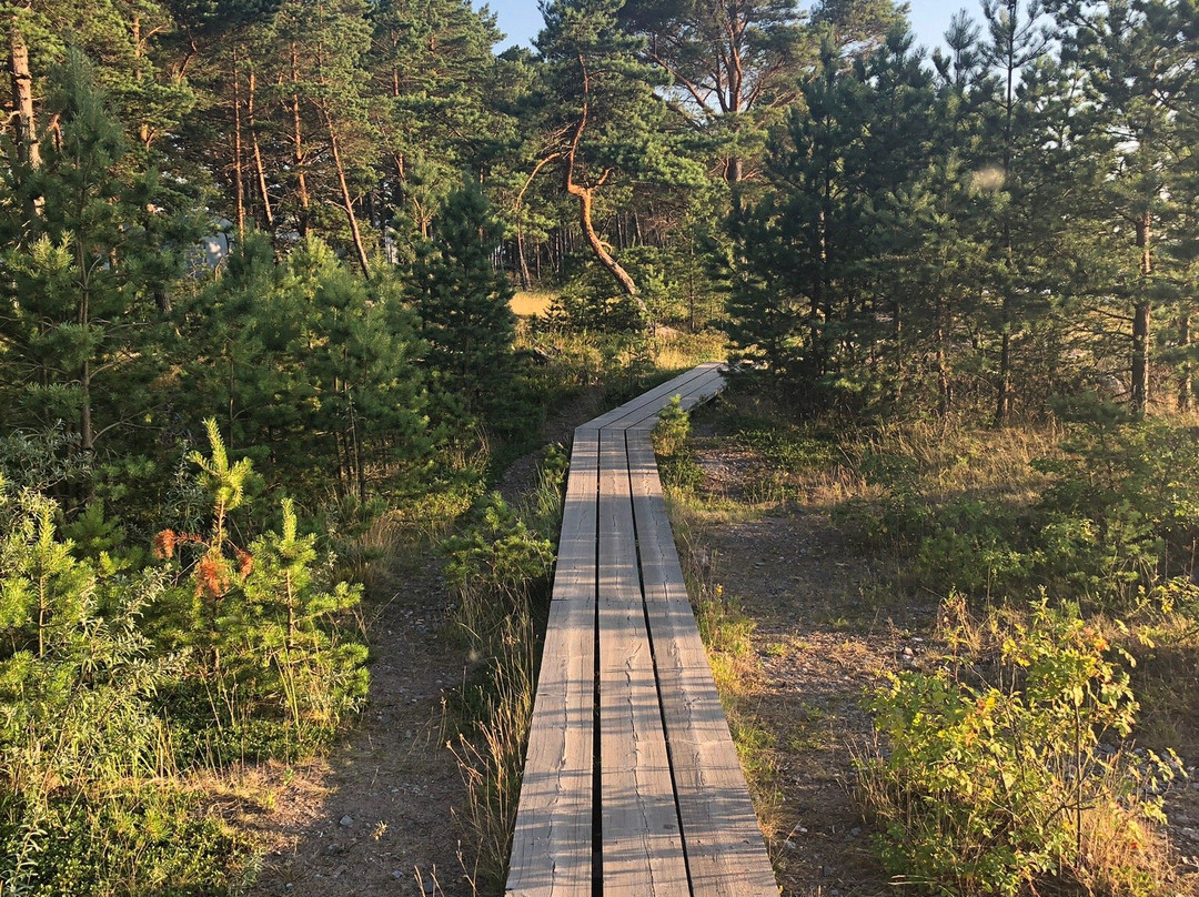 Tulliniemi Nature Path-Hanko必去景点