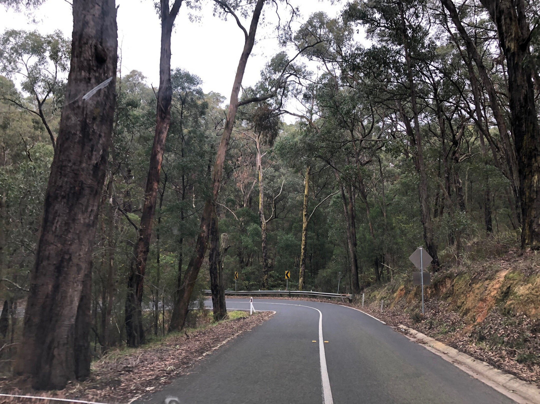 Cardinia Aqueduct Trail景点图片