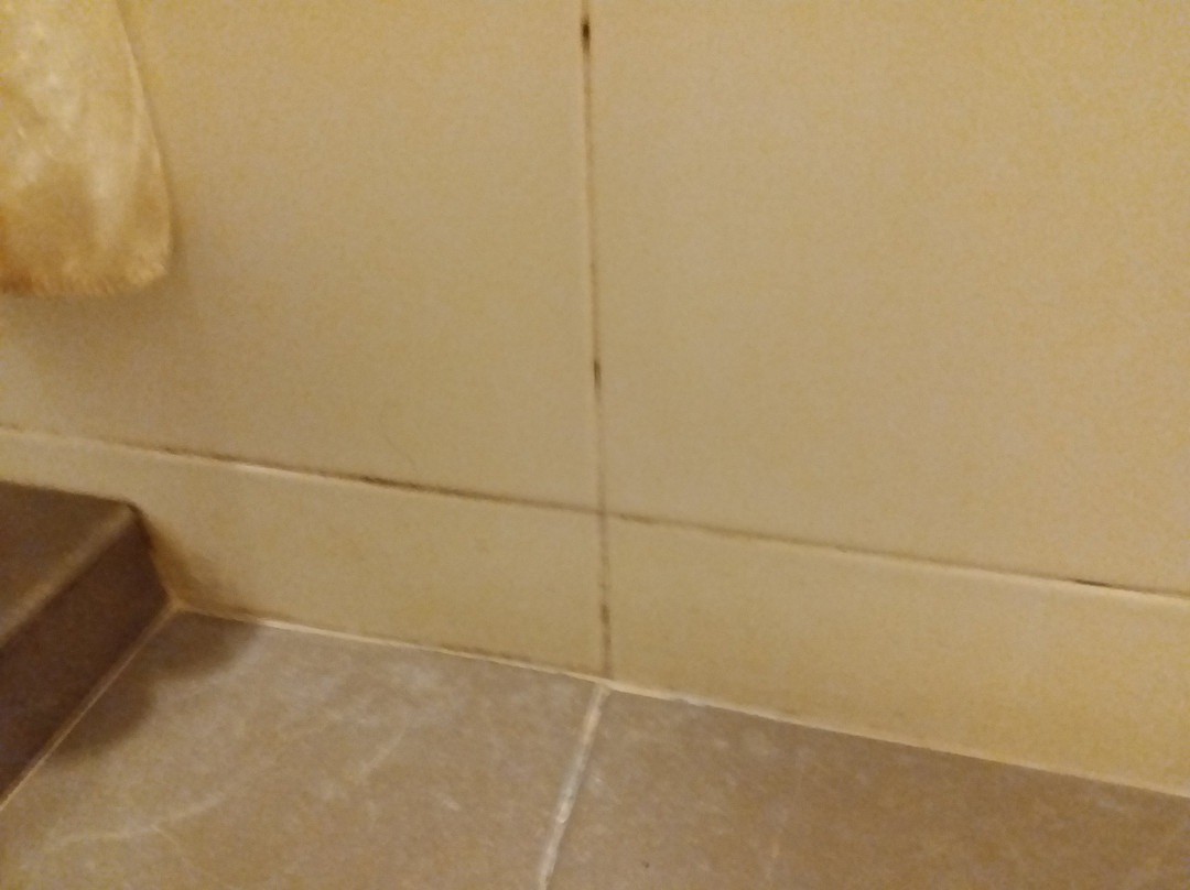 车仁珍山会议温泉度假酒店主图