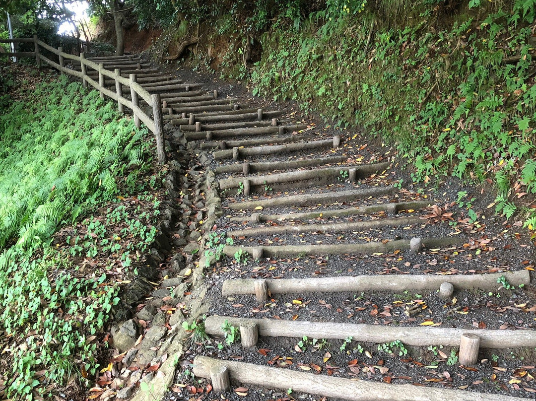 Shiroyama Park景点图片
