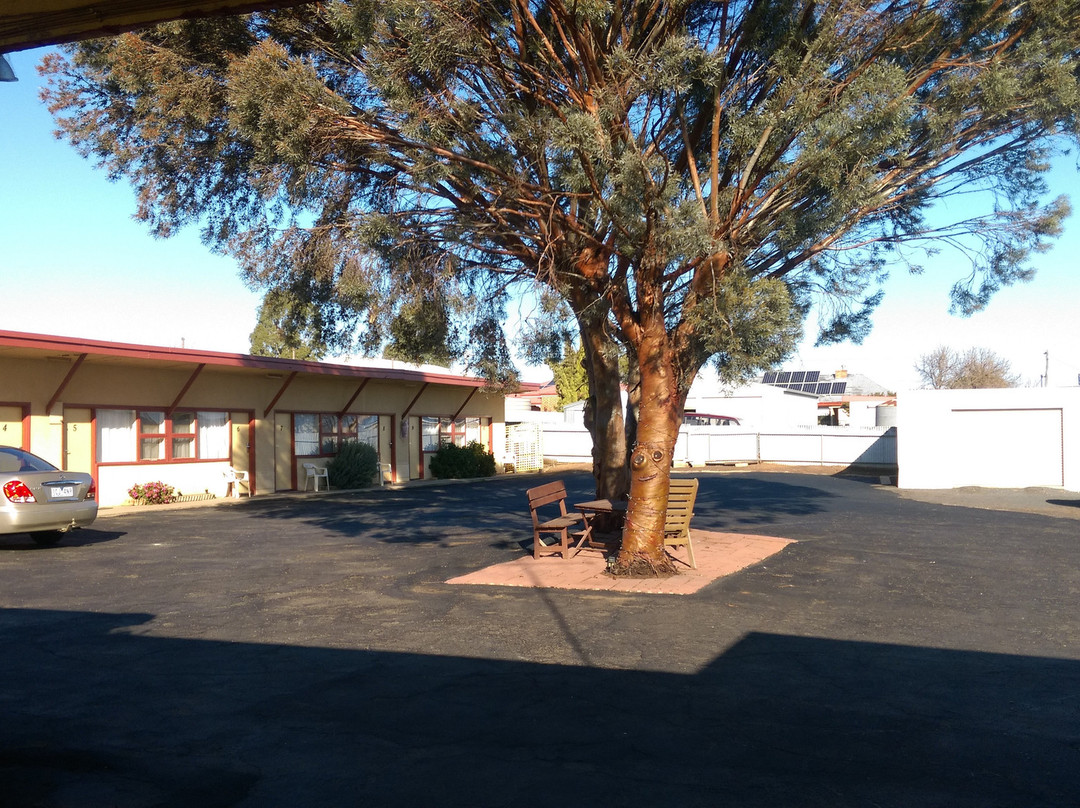 Nhill Oasis Motel主图