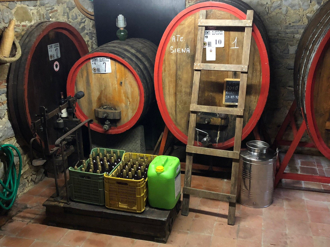 Tuscany Private tours-蓬塔谢韦必去景点