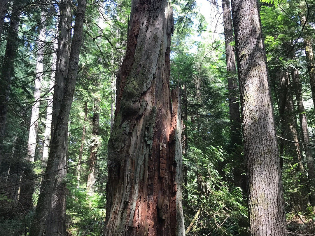 Stimpson Family Nature Preserve景点图片