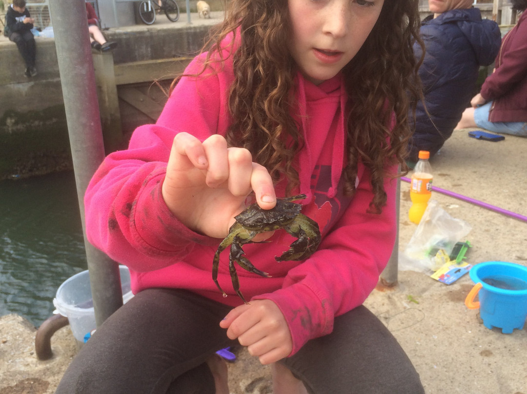 St Andrews Harbour Trust-圣安德鲁斯必去景点