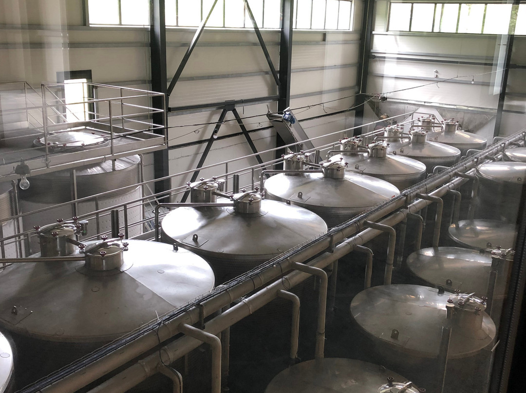 Winery Bugeuli景点图片