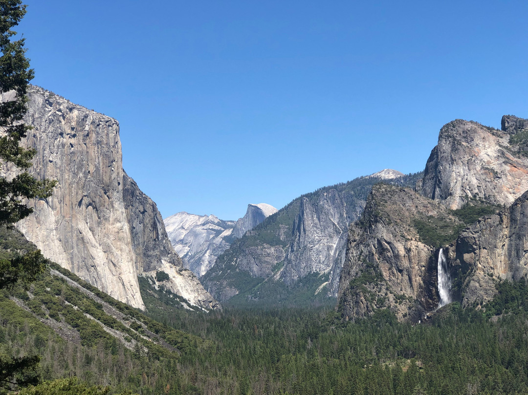 Evergreen Haus主图