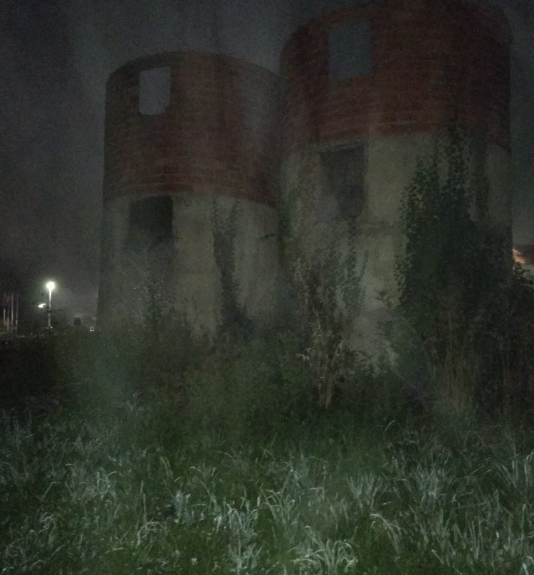 Hotel Estrella del Alemar主图