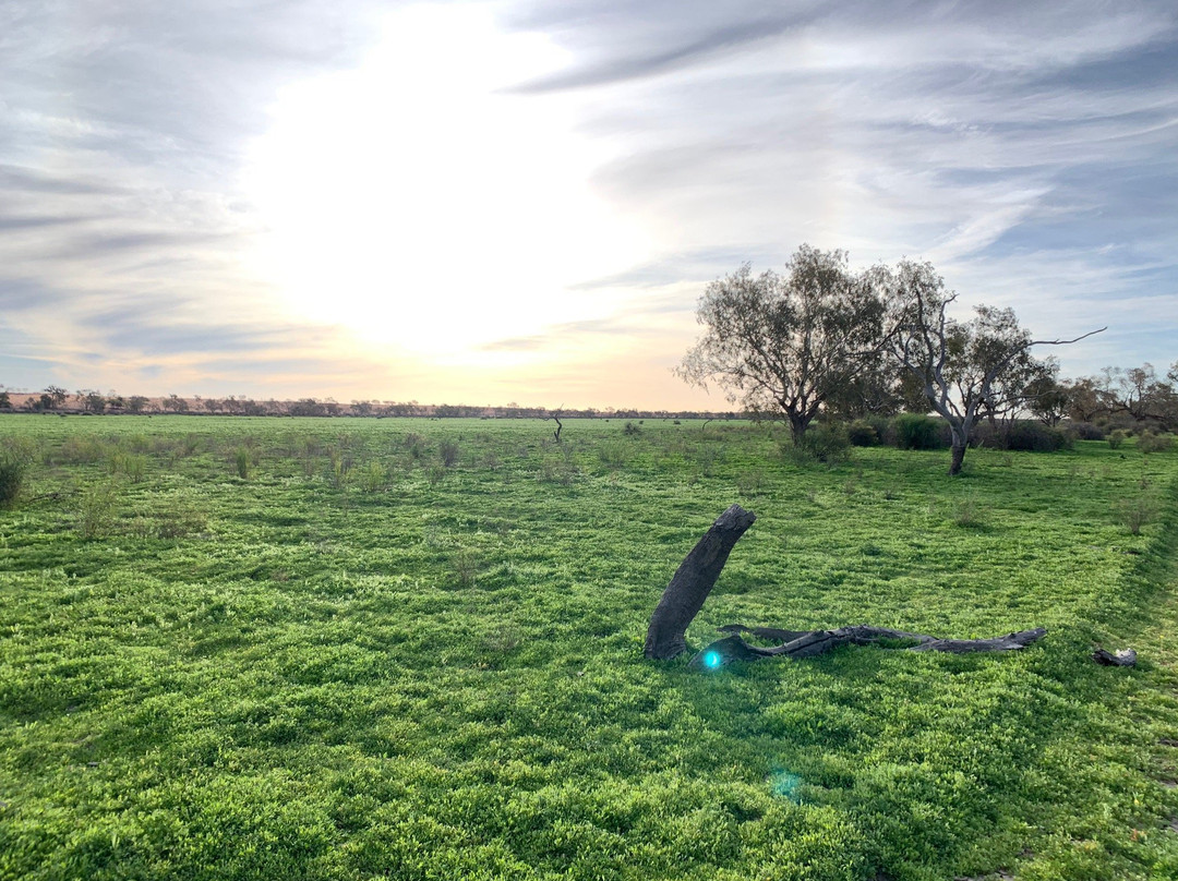 Munga-Thirri (Simpson Desert) National Park-Birdsville必去景点