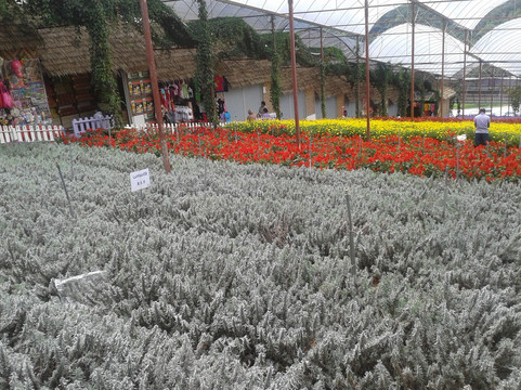 Malaysian Explorations & Adventures-黑风洞必去景点