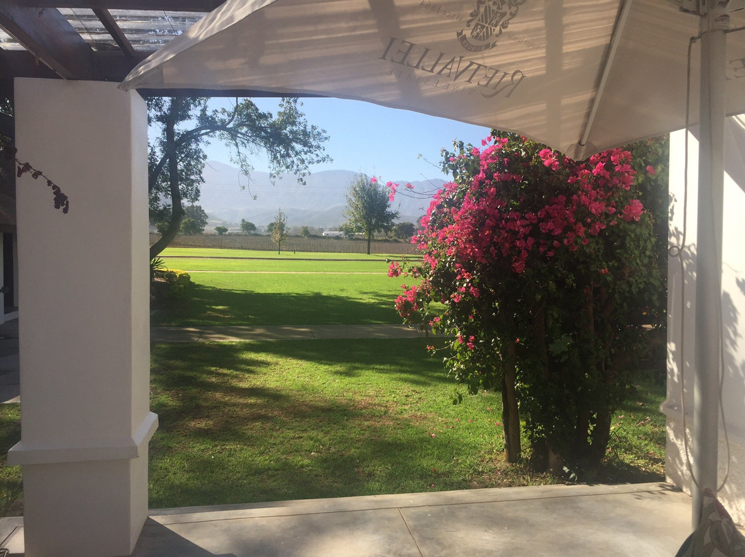 Rietvallei Wine Estate-Robertson必去景点