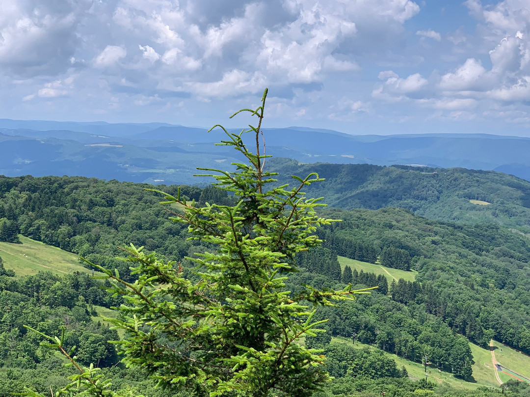 Canaan Valley Resort景点图片