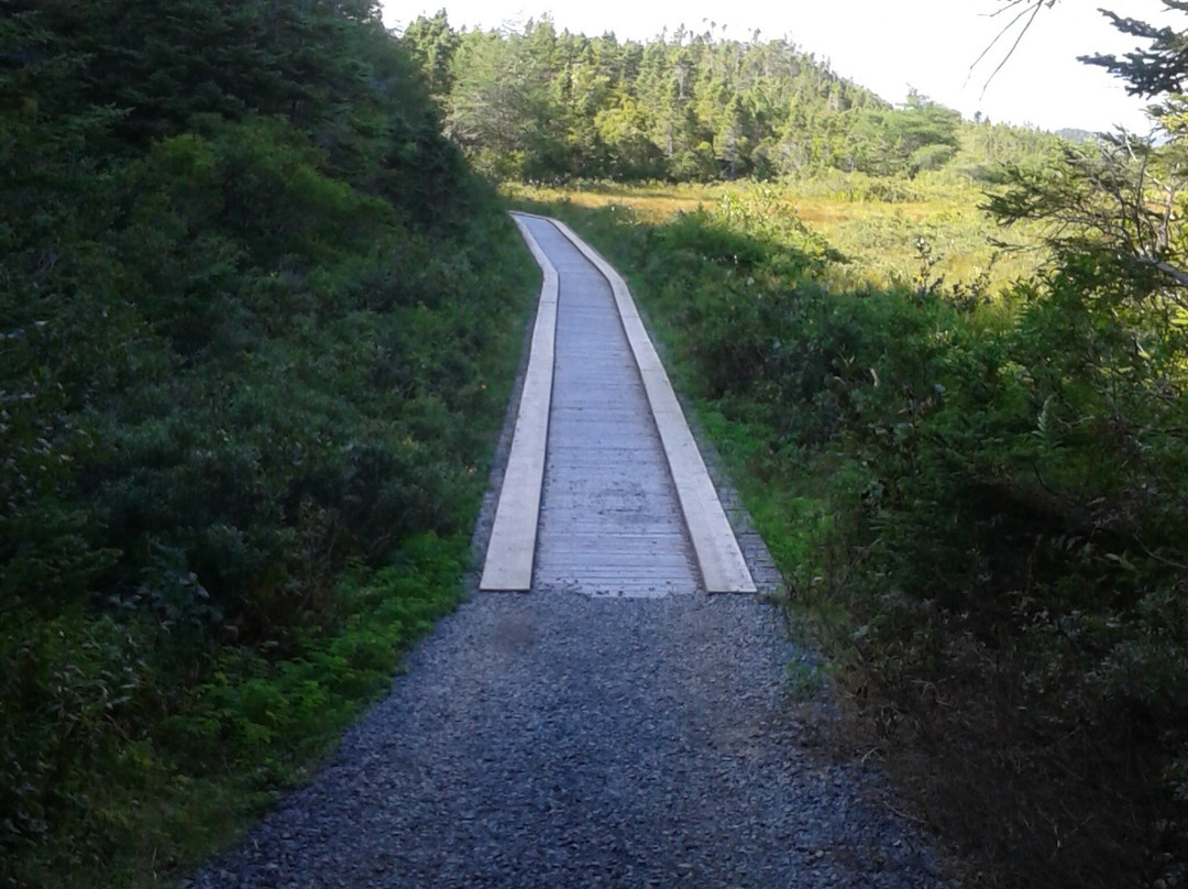 Cook's Lookout Trail景点图片